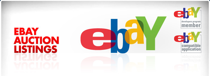 Why do people try sell domain names on eBay?